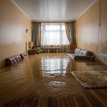 My Boston Water Damage Restoration